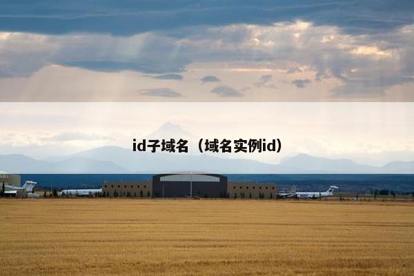 id子域名（域名实例id）