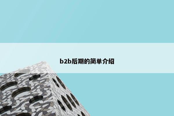 b2b后期的简单介绍
