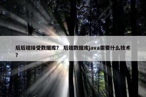 后后端接受数据库? 后端数据库java需要什么技术?