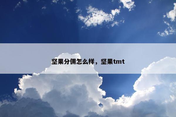 坚果分佣怎么样，坚果tmt