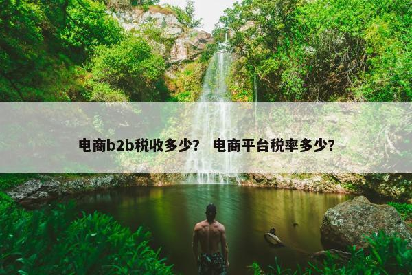 电商b2b税收多少？ 电商平台税率多少？