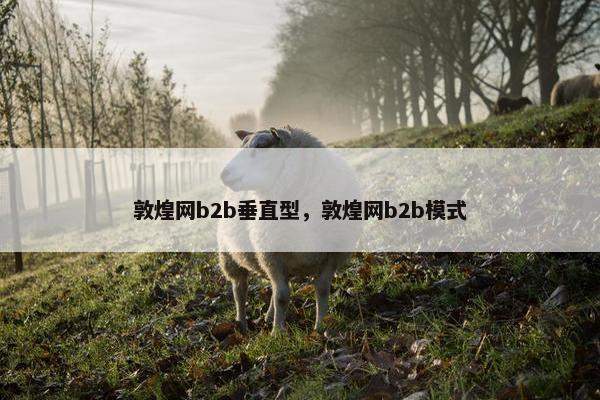 敦煌网b2b垂直型，敦煌网b2b模式
