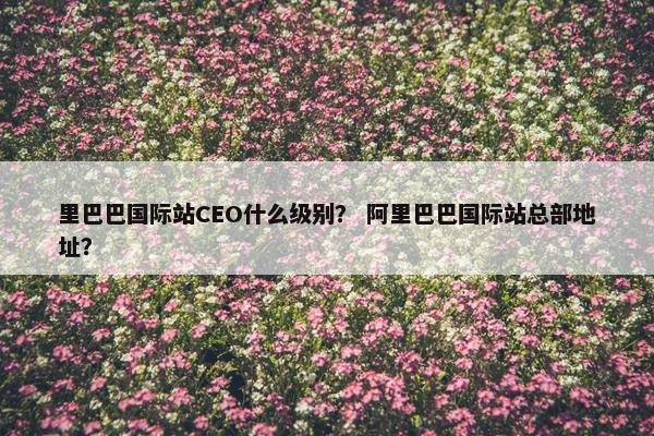 里巴巴国际站CEO什么级别? 阿里巴巴国际站总部地址? 里巴巴国际站CEO什么级别? 阿里巴巴国际站总部地址?