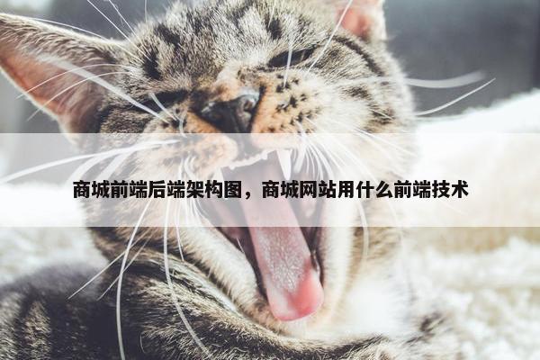 商城前端后端架构图，商城网站用什么前端技术