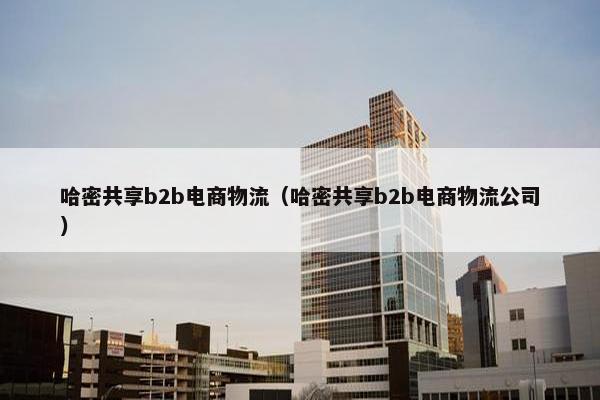 哈密共享b2b电商物流（哈密共享b2b电商物流公司）