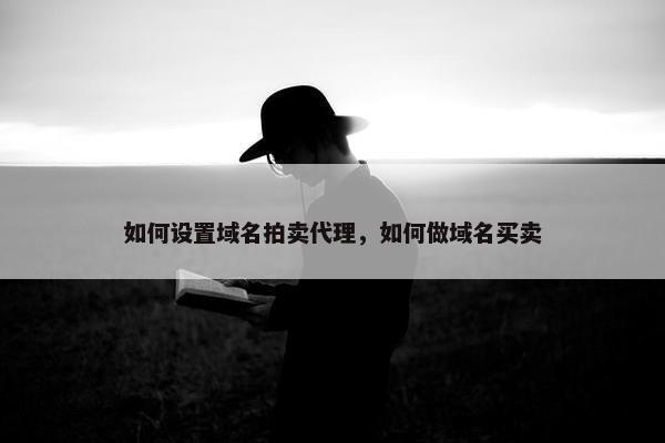 如何设置域名拍卖代理,如何做域名买卖