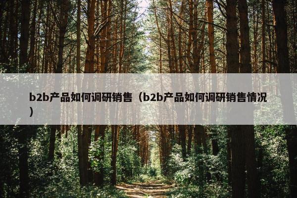 b2b产品如何调研销售(b2b产品如何调研销售情况)
