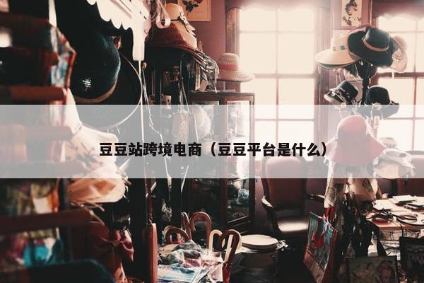 豆豆站跨境电商(豆豆平台是什么)
