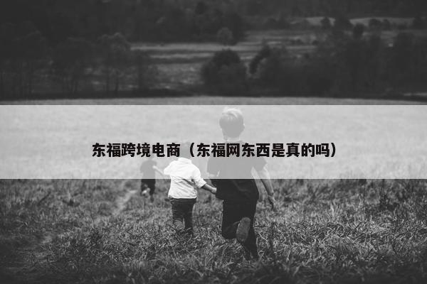 东福跨境电商(东福网东西是真的吗)