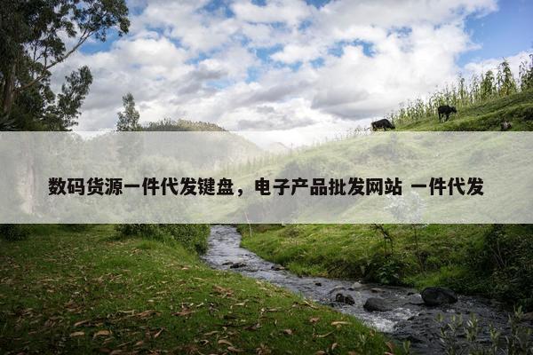 数码货源一件代发键盘,电子产品批发网站 一件代发 数码货源一件代发键盘,电子产品批发网站 一件代发