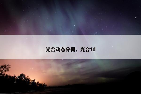 光合动态分佣,光合fd