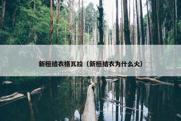 新桓结衣格瓦拉(新桓结衣为什么火)