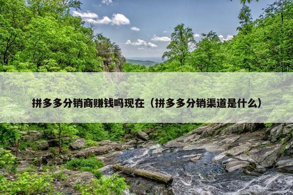 拼多多分销商赚钱吗现在（拼多多分销渠道是什么）