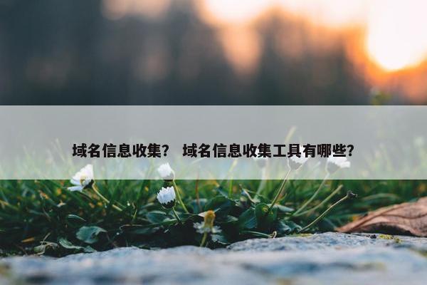 域名信息收集? 域名信息收集工具有哪些?