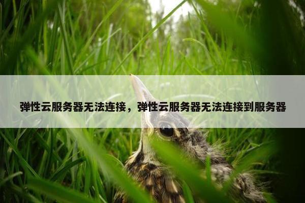 弹性云服务器无法连接,弹性云服务器无法连接到服务器 弹性云服务器无法连接,弹性云服务器无法连接到服务器