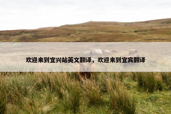 欢迎来到宜兴站英文翻译,欢迎来到宜宾翻译 欢迎来到宜兴站英文翻译,欢迎来到宜宾翻译