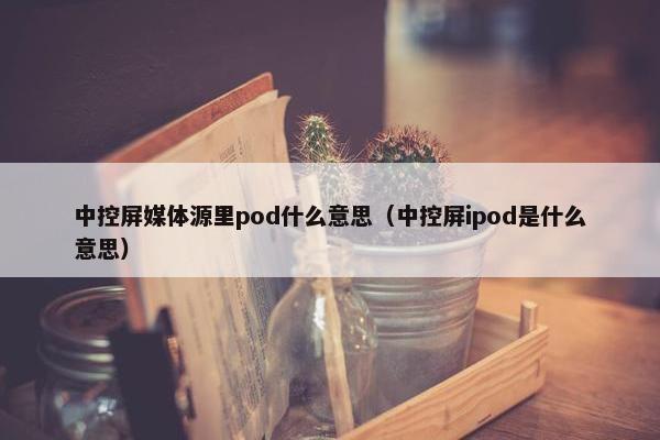 中控屏媒体源里pod什么意思（中控屏ipod是什么意思）