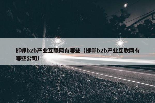 邯郸b2b产业互联网有哪些(邯郸b2b产业互联网有哪些公司)