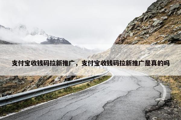 支付宝收钱码拉新推广,支付宝收钱码拉新推广是真的吗