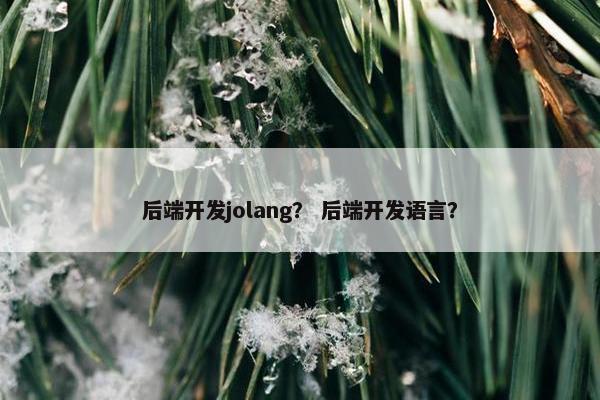 后端开发jolang? 后端开发语言?