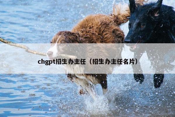 chgpt招生办主任(招生办主任名片) chgpt招生办主任(招生办主任名片)