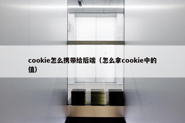 cookie怎么携带给后端(怎么拿cookie中的值)
