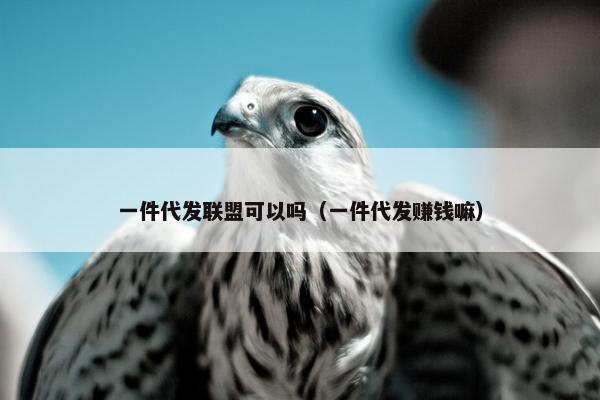 一件代发联盟可以吗(一件代发赚钱嘛)