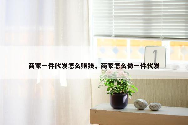 商家一件代发怎么赚钱,商家怎么做一件代发