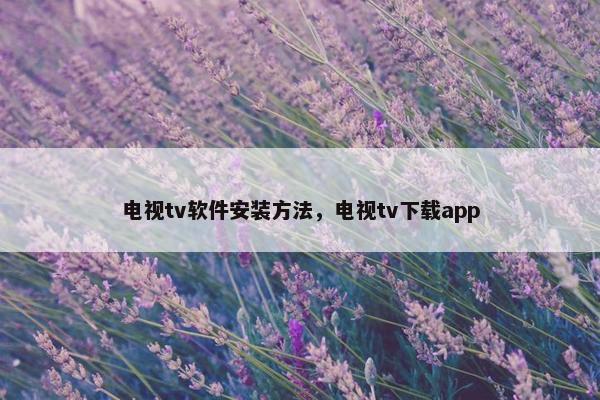 电视tv软件安装方法,电视tv下载app