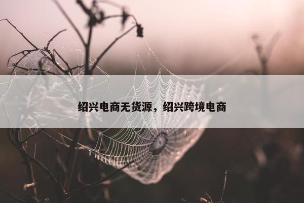 绍兴电商无货源,绍兴跨境电商
