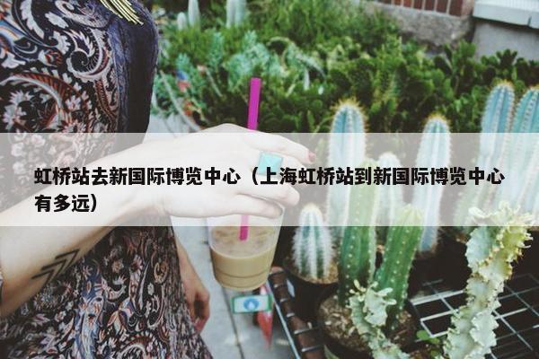 虹桥站去新国际博览中心(上海虹桥站到新国际博览中心有多远) 虹桥站去新国际博览中心(上海虹桥站到新国际博览中心有多远)