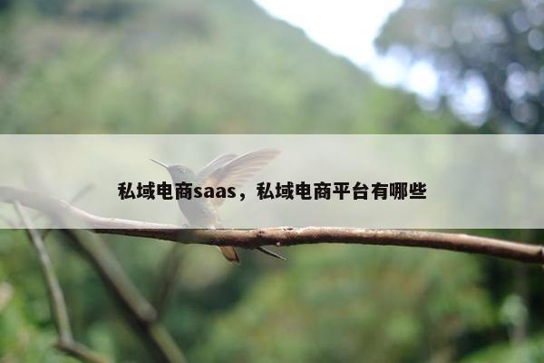 私域电商saas,私域电商平台有哪些