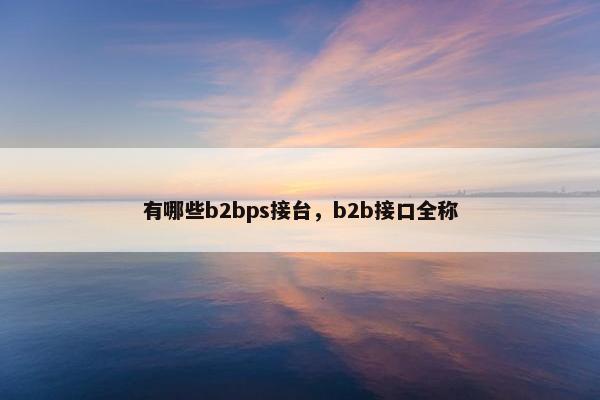 有哪些b2bps接台,b2b接口全称