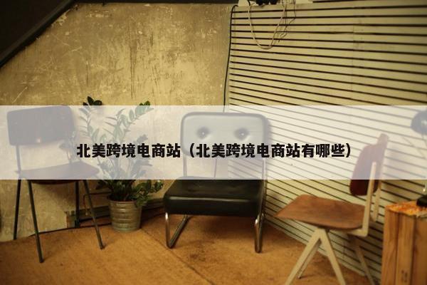 北美跨境电商站(北美跨境电商站有哪些)