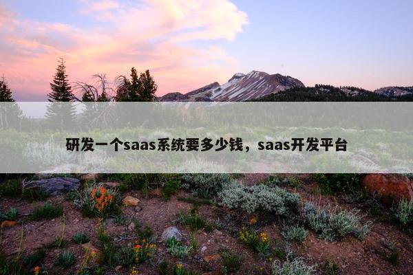 研发一个saas系统要多少钱，saas开发平台