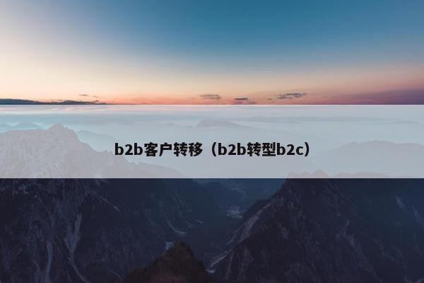 b2b客户转移（b2b转型b2c）