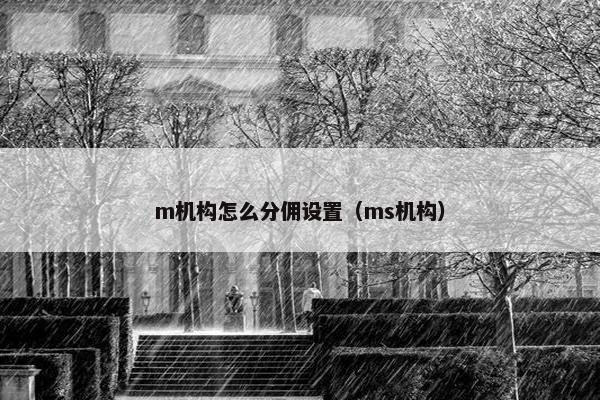 m机构怎么分佣设置(ms机构) m机构怎么分佣设置(ms机构)