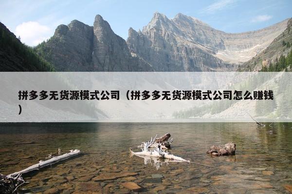 拼多多无货源模式公司(拼多多无货源模式公司怎么赚钱)