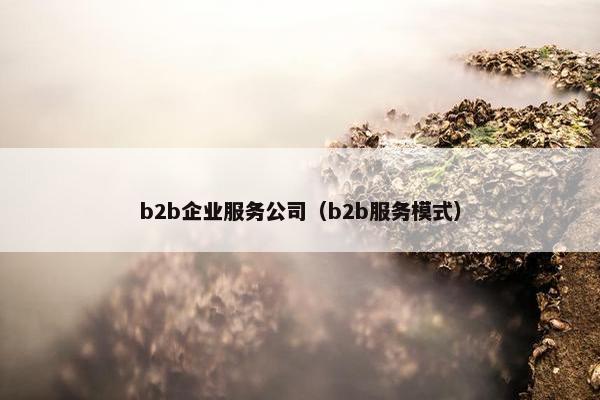 b2b企业服务公司(b2b服务模式)