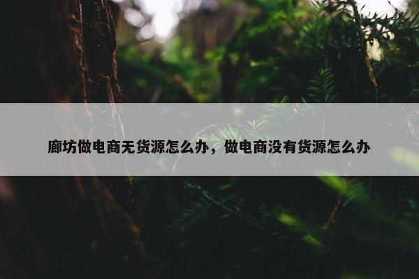 廊坊做电商无货源怎么办,做电商没有货源怎么办