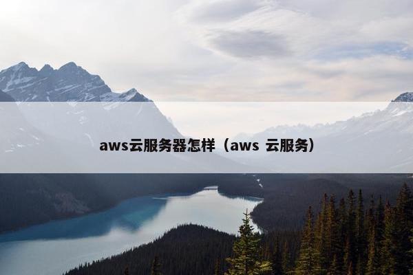aws云服务器怎样(aws 云服务)