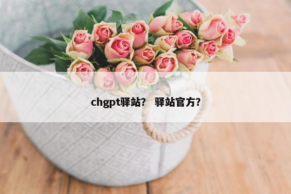 chgpt驿站？ 驿站官方？