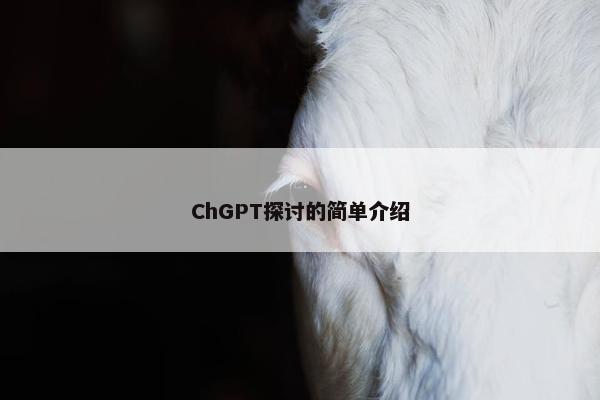 ChGPT探讨的简单介绍