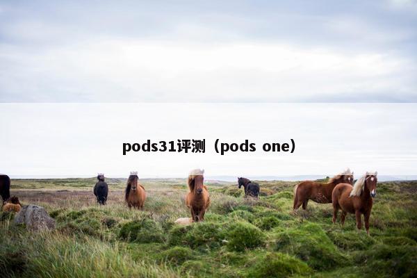 pods31评测(pods one) pods31评测(pods one)