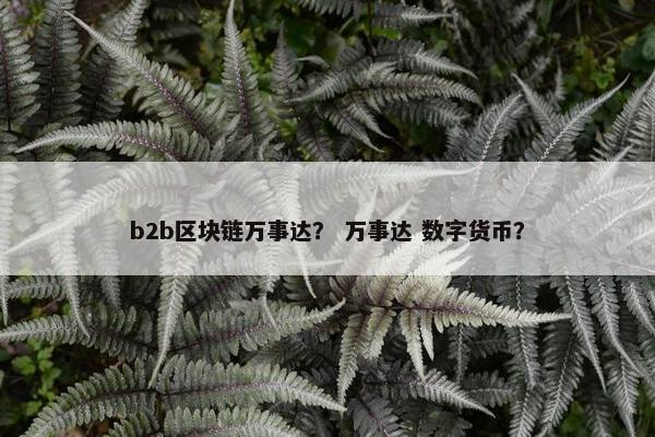 b2b区块链万事达？ 万事达 数字货币？