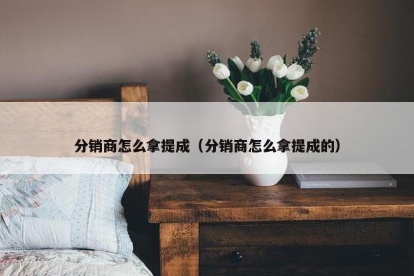 分销商怎么拿提成(分销商怎么拿提成的)