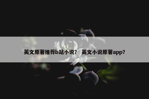 英文原著推荐b站小说? 英文小说原著app?