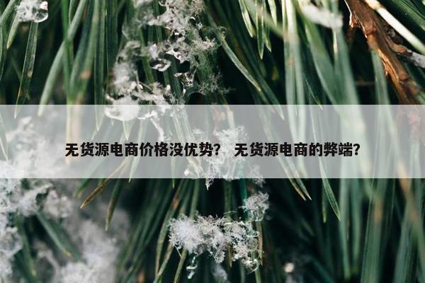 无货源电商价格没优势? 无货源电商的弊端?