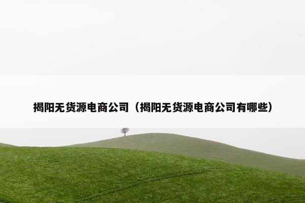 揭阳无货源电商公司(揭阳无货源电商公司有哪些)