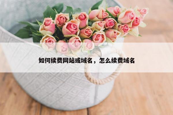 如何续费网站或域名,怎么续费域名